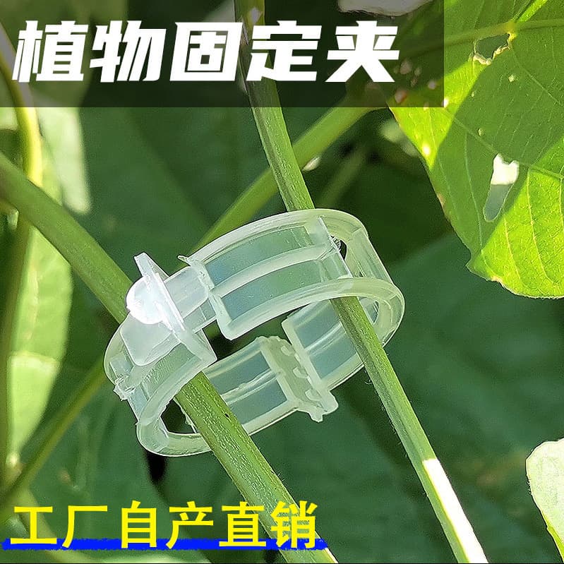 Vines clip plant melon and fruit plant clip plastic vine clip tying branch clip hanging vine clip support vine clip vine fixed clip