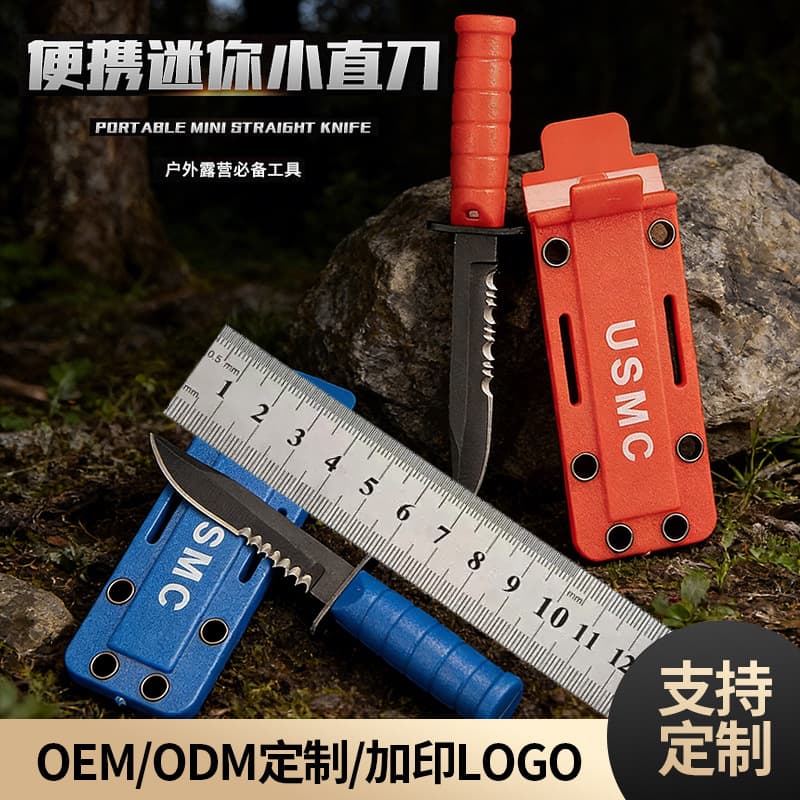 Portable Mini Straight Knife Stainless Steel Camping Straight Knife Outdoor Tactical Knife Survival Wilderness Knife Custom