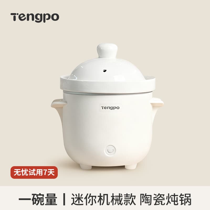 Mini Ceramic Electric Stew Pot for Single Serving, Baby Congee Maker, Soup and Bird's Nest Food Cooker