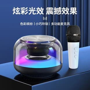 Aishuomei B151 Palm-sized KTV Bluetooth Speaker, Portable Outdoor Karaoke Speaker with Microphone, Bluetooth 5.0
