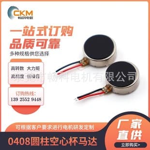 Customizable 1027 Flat Motor High Speed Coreless DC Motor Micro Gear Tattoo Motor