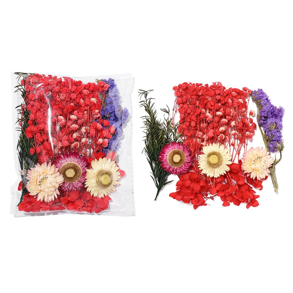 Dried Flower Round Fan DIY Preserved Flower Material Kit DIY Photo Frame Collage Floating Flower 38 Women's Day Floral Art Class Bagged Flower Materials