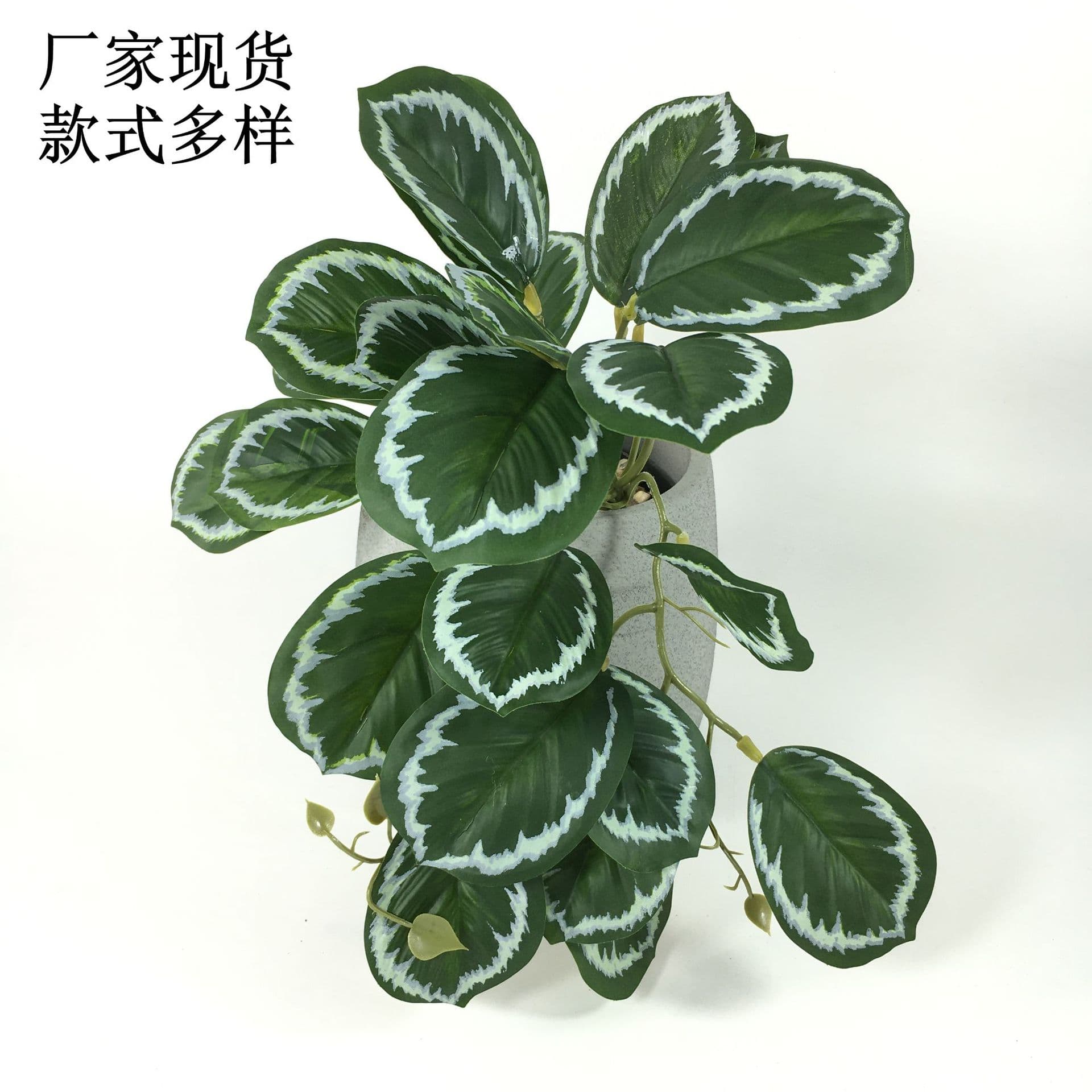 3D Printed Artificial Green Plant Vine Leaf Turtle Back Leaf Wall Decoration Simulation Plant Transparent Glossy Finish