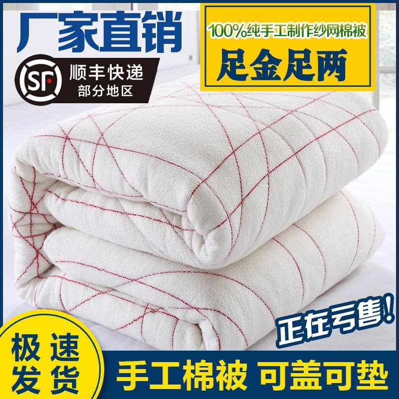Cotton Batting, Student Dormitory Mattress Quilt, Single Cotton Quilt Duvet Insert, Spring/Autumn/Winter Thickened 10 Jin Quilt