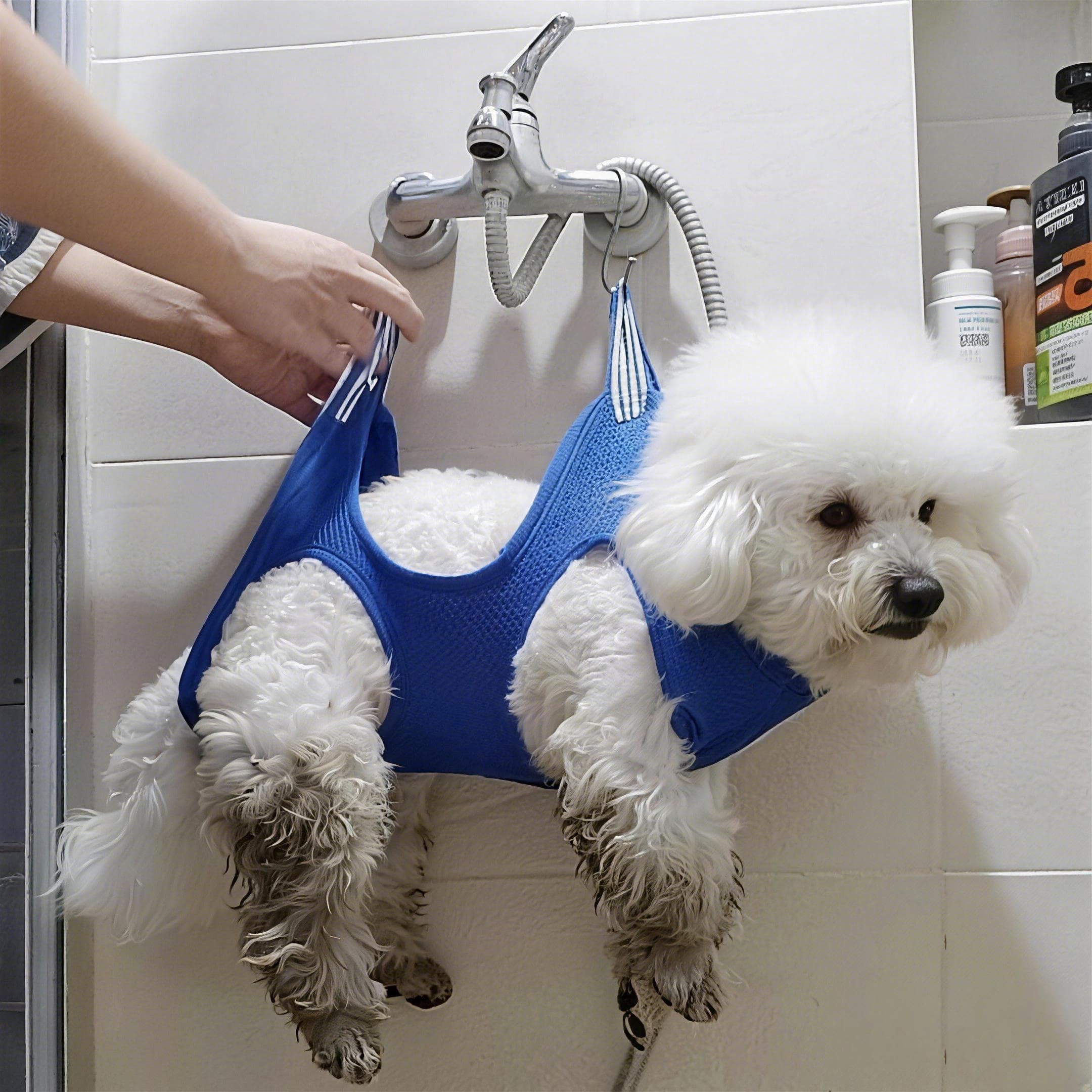 Pet Bathing Beauty Hammock Hanging Restraint for Cats and Dogs, Anti-Scratch Bag for Washing Feet and Trimming Nails