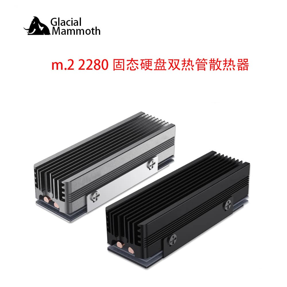 Dual Heat Pipe M.2 SSD Heatsink NVMe Computer SSD 2280 Heat Sink Cover with Fixed Aluminum Copper Pipe V3