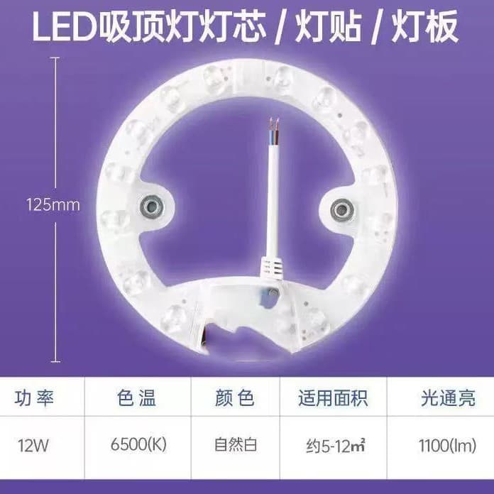 LED Light Panel Ceiling Light Core Replacement Magnetic Disc Light Panel Retrofit Light Chip [White 12W]