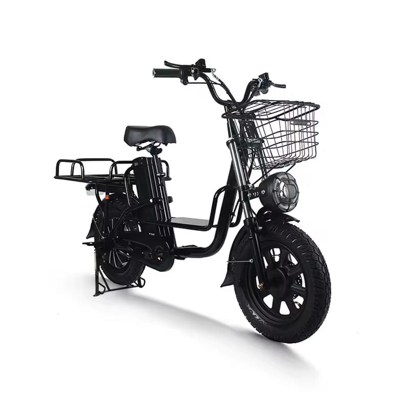 European Electric Pedal-Assist Bicycle with Snow Disc Brakes, 16-Inch Food Delivery E-Bike for Cross-Border Supply