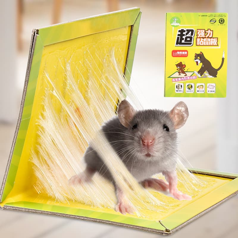 Mouse Trap Sticky Board, Home Rat Glue Trap, Strong Adhesive Mouse Catcher, Rodent Control