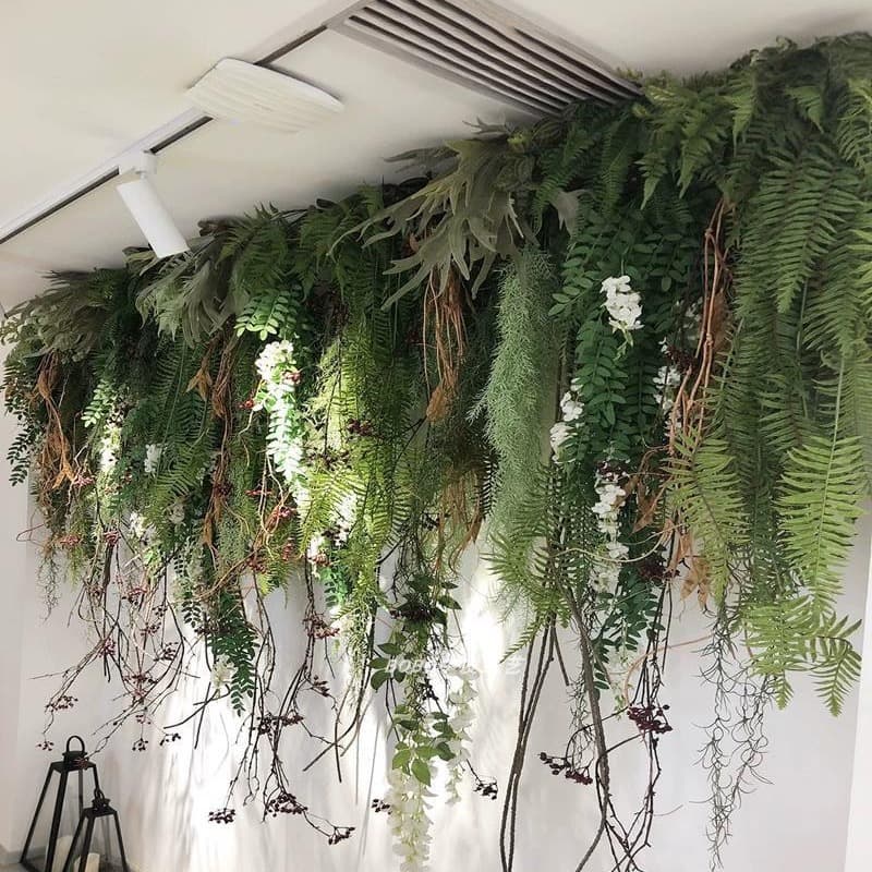 Ta'an Green Plant Wall Hanging Hanging Vine Green Plant Spider Plant Persian Fern Wall Pipe Ceiling Renaming