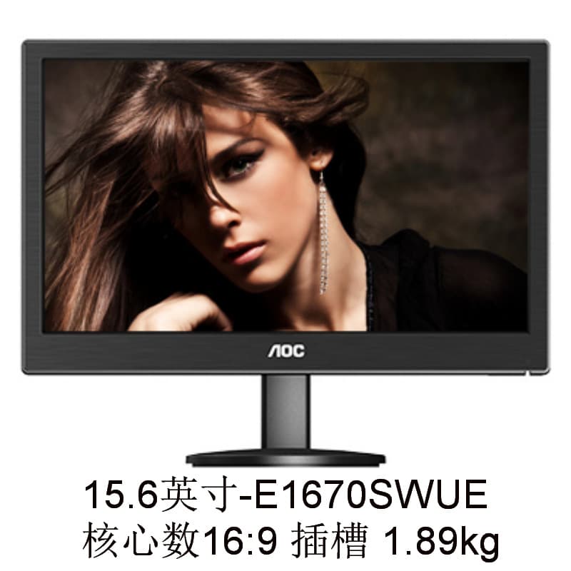 Monitor (1) E1670SWUE 15.6-inch TN Negotiable with Invoice