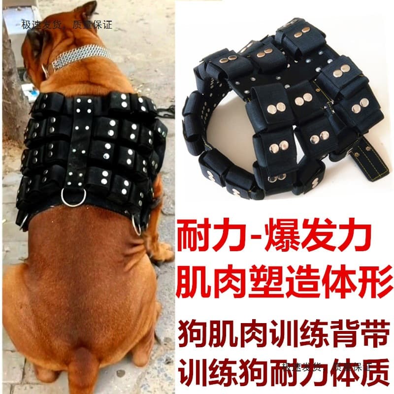 Pitbull Weighted Harness, Fighting Dog Training Gear, Dogo Argentino Large Dog Chest Harness, Muscle Building Chest Harness and Neck