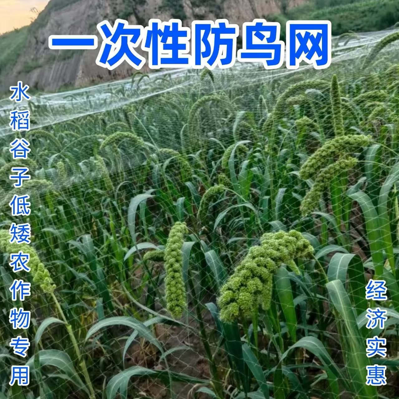 Disposable rice anti-bird net, small hole Doudan anti-bird net, farmland anti-bird net, vegetable garden disposable anti-bird net with edge