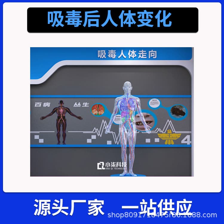 VR Simulation System for Blood and Organ Changes After Drug Use in Anti-Drug Education Experience Hall