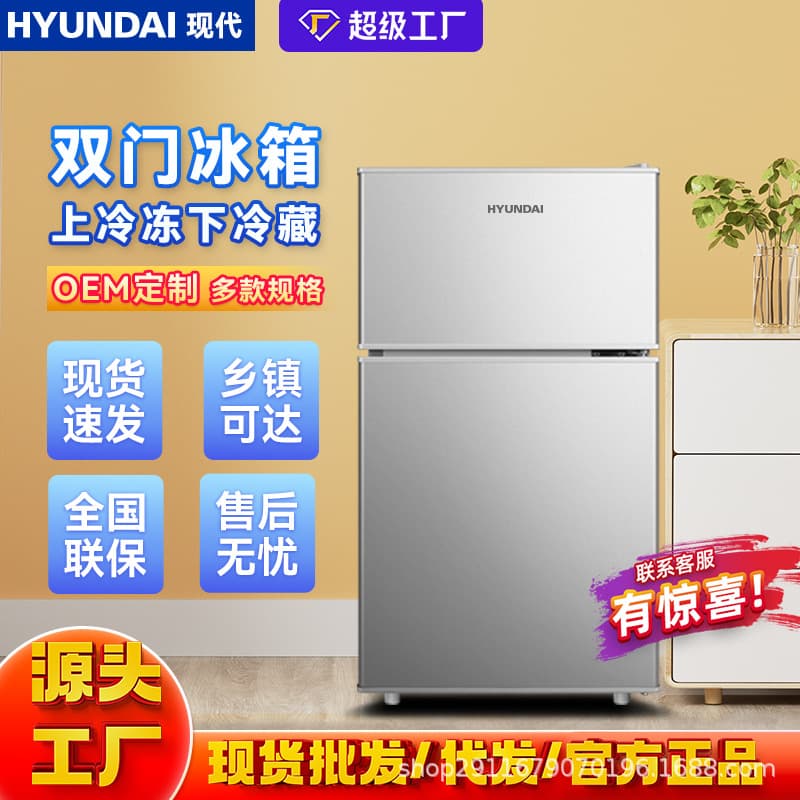 Modern Customizable Refrigerator for Home and Rental Use, Energy-Efficient for Dormitories
