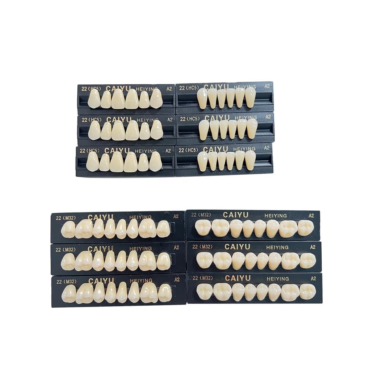 Movie Prop Fake Teeth Model 28 Loose Teeth Dental Arrangement Practice Training Mold NEW ACE NAPFROF