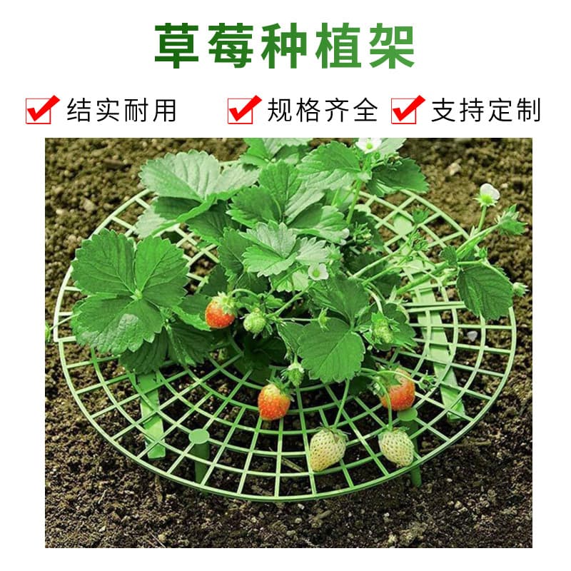 Strawberry Planting Rack Cultivation Rack Balcony Potted Vegetable Planting Rack Fruit Support Plant Climbing Vine Pillar Gardening Support