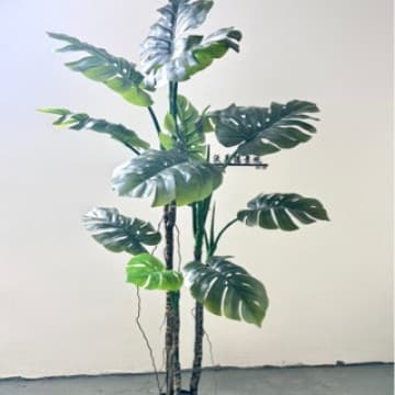 Simulated green plant turtle tree potted indoor living room corner cream style high-end light luxury balcony decoration ornaments layout