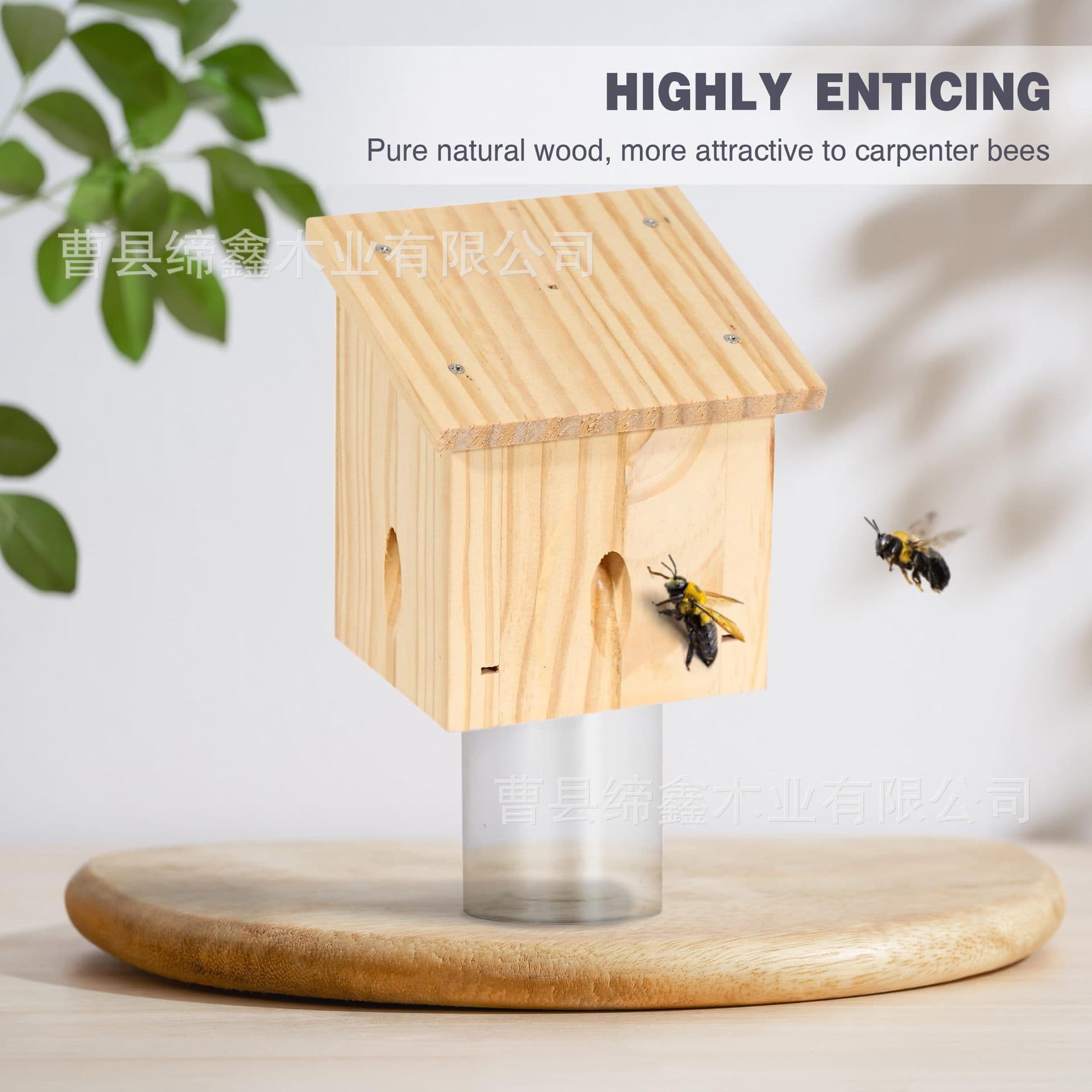Wooden Bee Trap Fruit Fly Trap Box Small House Bee Trap Outdoor Hanging Insect Trap