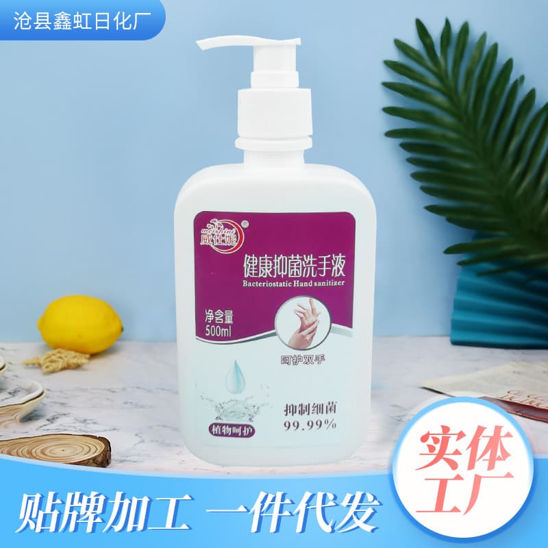 Manufacturer Supply Wholesale 500ml Bottled Foam Hand Soap for Home and Hotel Use, Gift and Giveaway Hand Wash