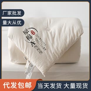 Soybean Fiber Quilt Spring/Autumn Blanket Thick Winter Quilt Cotton Quilt Air Conditioning Quilt Summer Cool Quilt Single/Double Four Seasons Universal Quilt Core