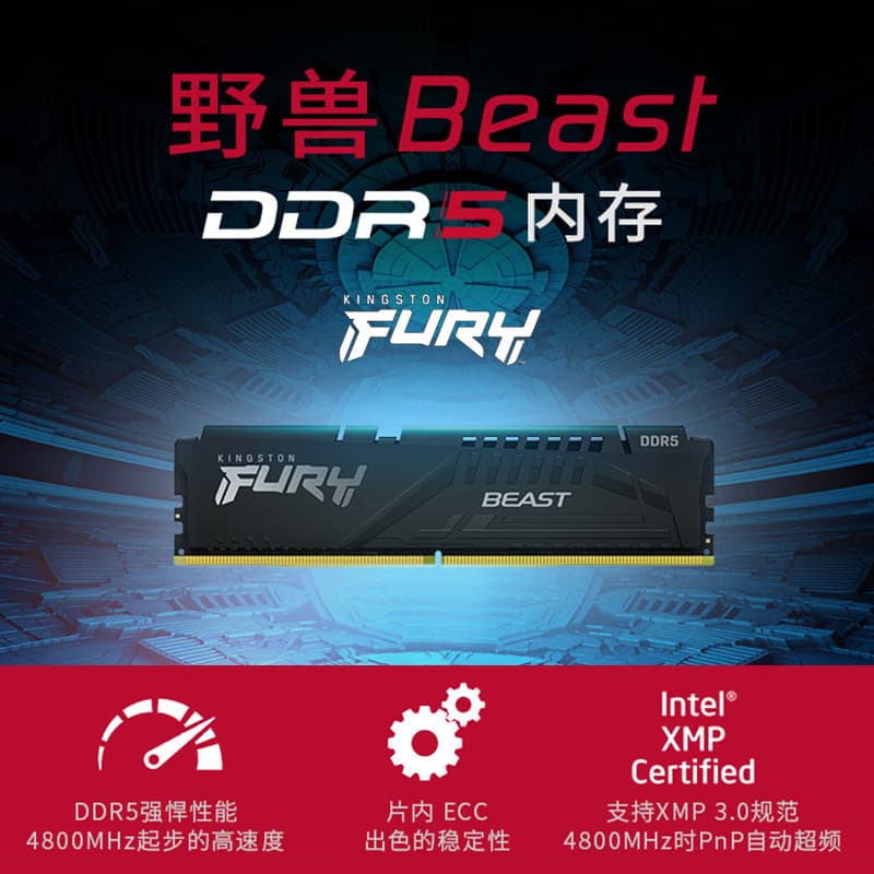 Kingston DDR5 Beast memory modules for desktop PCs