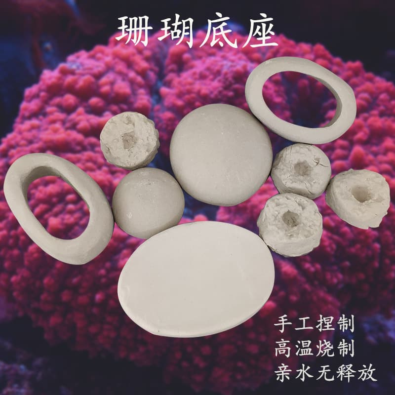Button Base Frag Plug T-Type Tray SPS Saltwater Coral Rack Propagation Ceramic Base Brain Coral Soft Coral