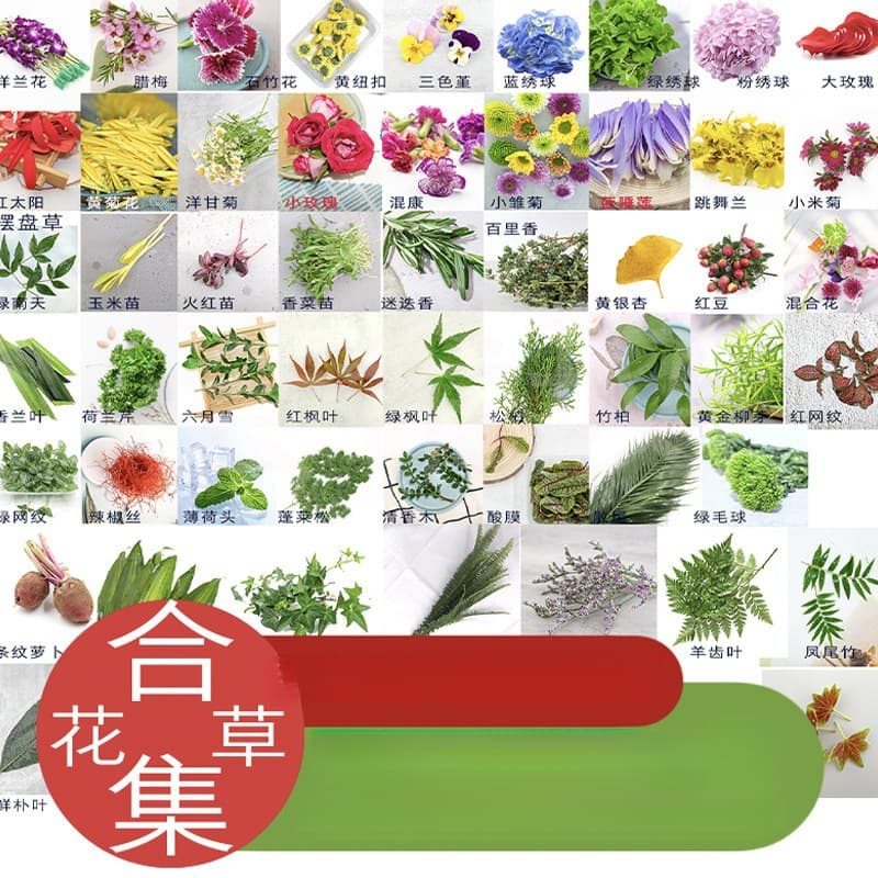 Plating decoration flowers and herbs for restaurant sashimi plating, cake decoration, plant decoration, flower arrangement