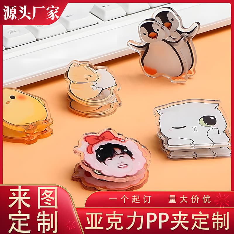 Exquisite Carved Acrylic Resin Clips Custom Celebrity PP Clips Cartoon Small Gifts Double-Sided Cute Storage Memo Clips