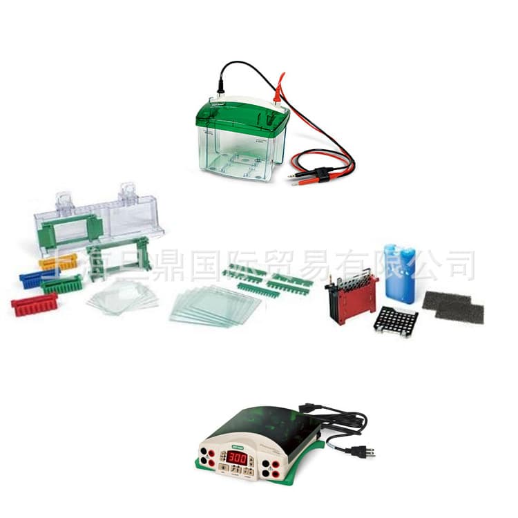 Bio-Rad 1658033 Electrophoresis Apparatus Set