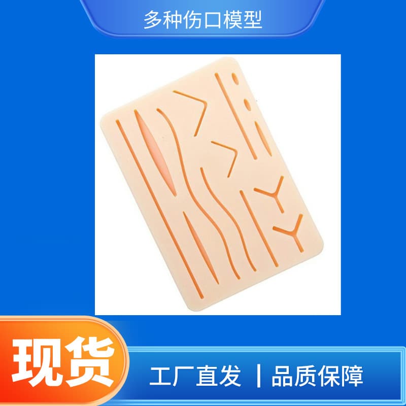 Wholesale Surgical Suture Module, Simulated Skin Practice Model, Medical Silicone Suture Module with Multiple Wound Models