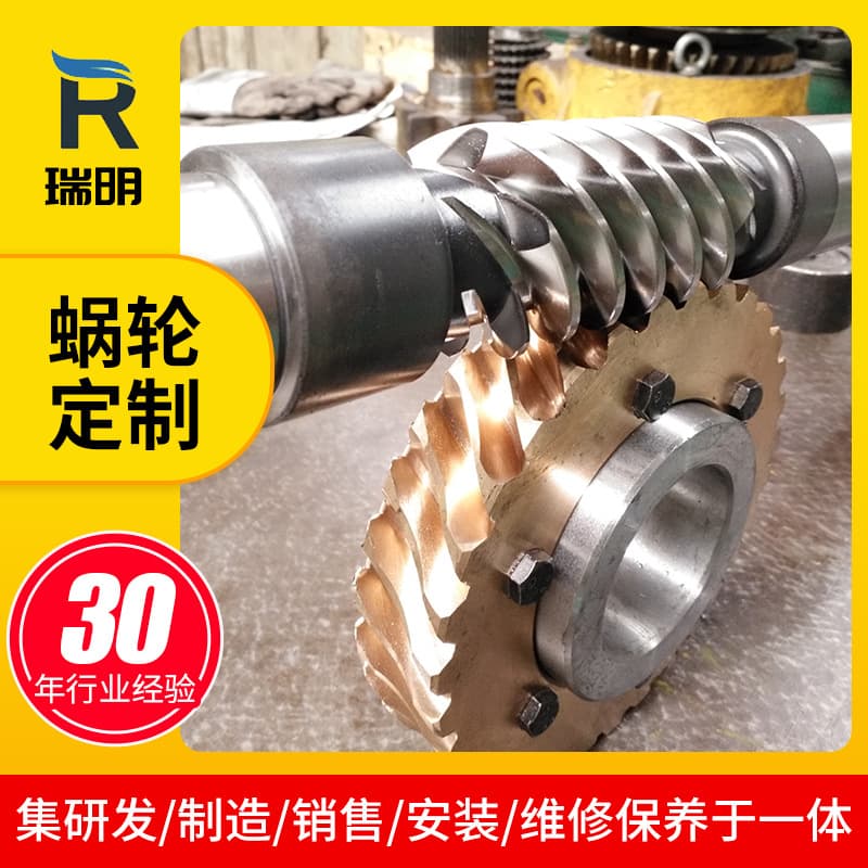 Ruiming Gearbox Manufacturer Produces Precision Dual-Lead Worm Gear Pairs, CNC Lathe Worm and Worm Gear