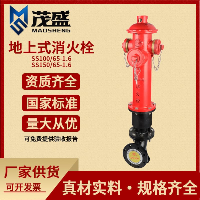 Outdoor Fire Hydrant Equipment SS100/65-1.6 Above-Ground Fire Hydrant, Cast Iron Reinforced Fire Hydrant