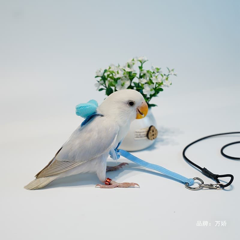 Bird Flight Harness for Parrots, Cockatiels, Budgies, Lovebirds, Flight Leash, Outdoor Walking Vest, Pet Supplies Toy