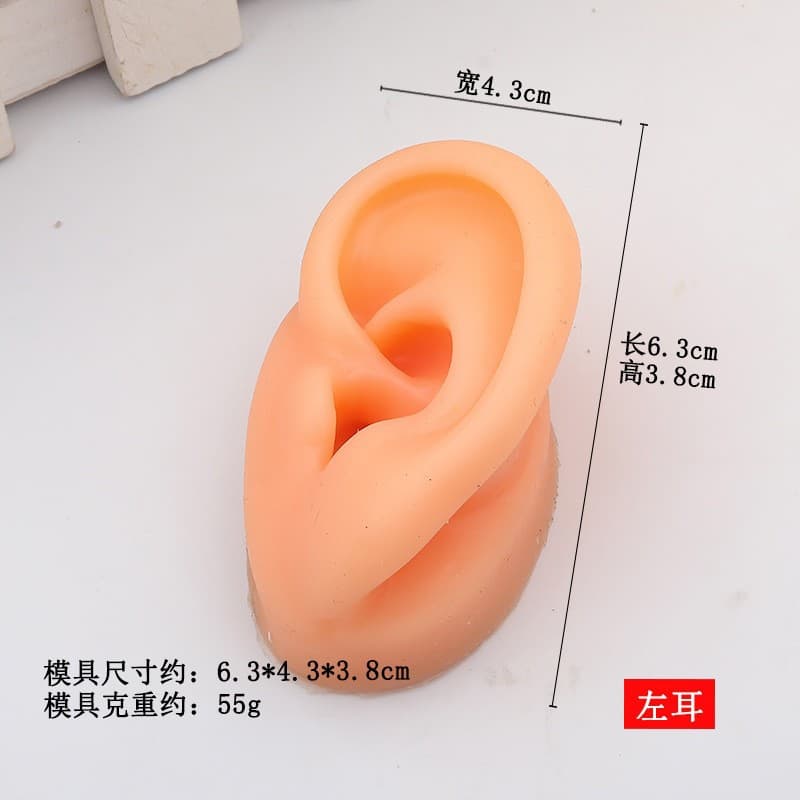Simulated Human Facial Features Model for Teaching Piercing Practice, Silicone Mold for Ear, Nose, and Mouth Piercing