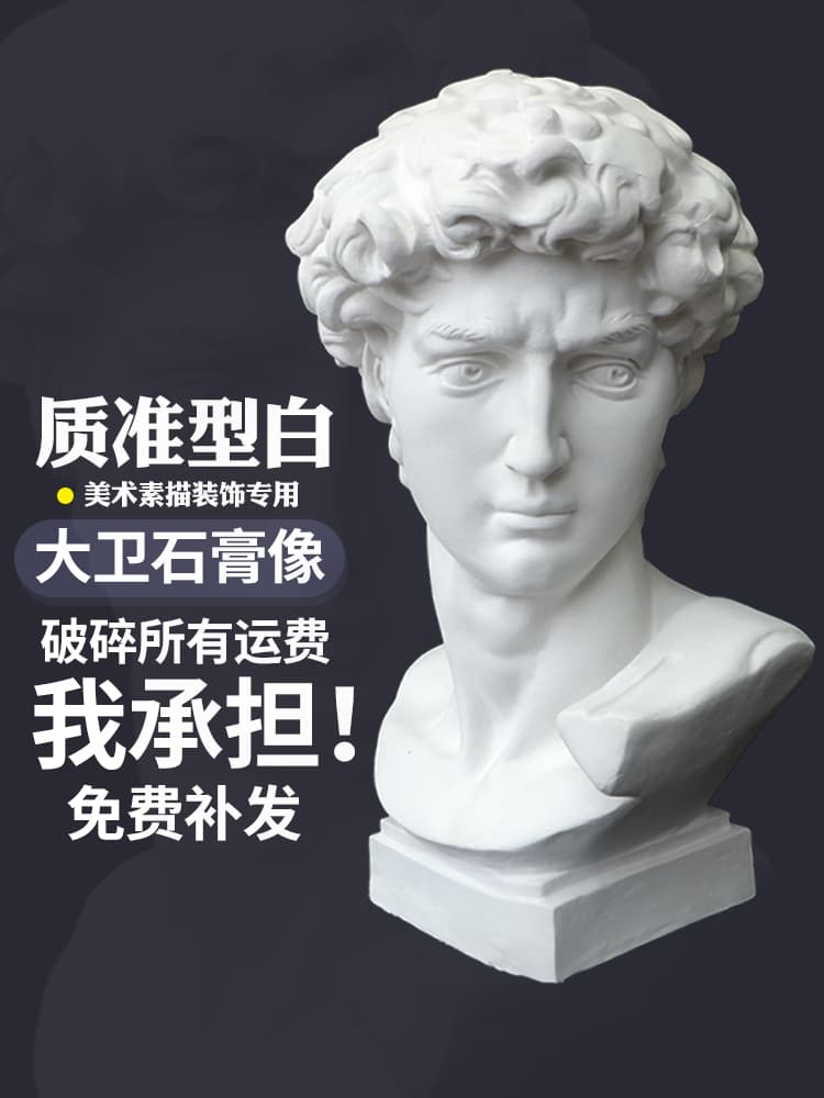 David Plaster Head with Geometric Shapes - Still Life Art Teaching & Photography Prop Set