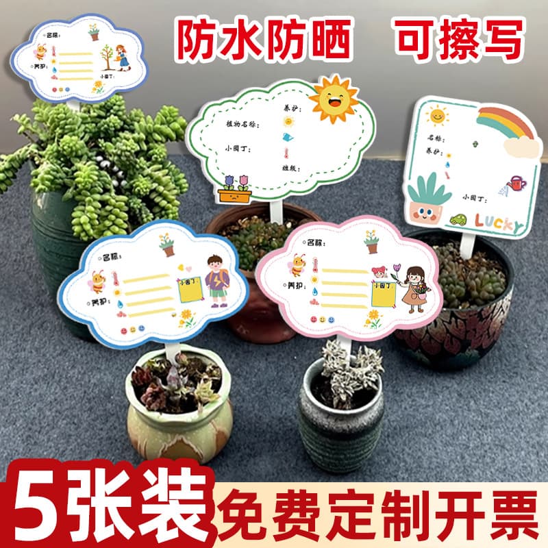 Kindergarten plant label insert card, green plant care card, flower DIY care card, sign custom flowerpot