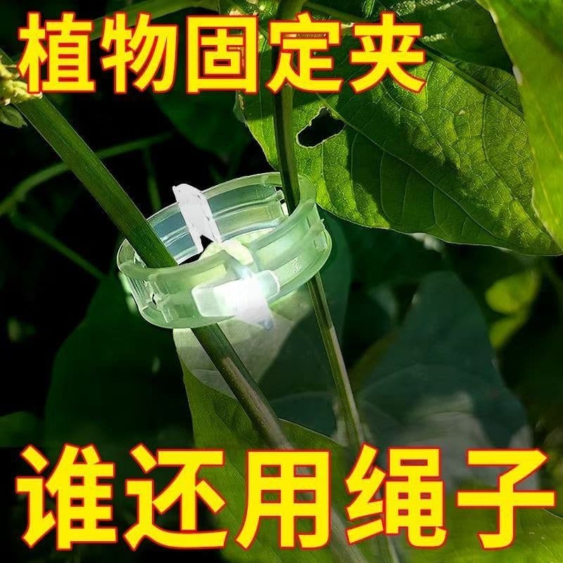 Clip to bind the vine Clip to bind the branch Clip to lift the vine Clip to support the vine Clip Garden tools Tomato rope clip