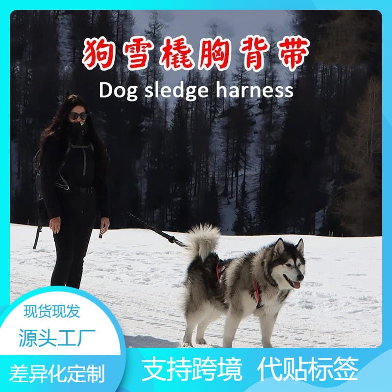 Dog Outdoor Sled Harness Dog Weight Training Tow Line for Husky Samoyed Ski Scooter Pulling Rope