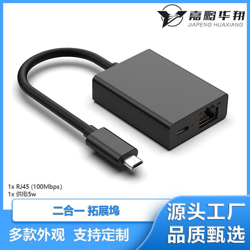 Type-C 2-in-1 Docking Station PD100W with Gigabit Ethernet and Micro 100M Ethernet, Cross-Border Hot-Selling Hub