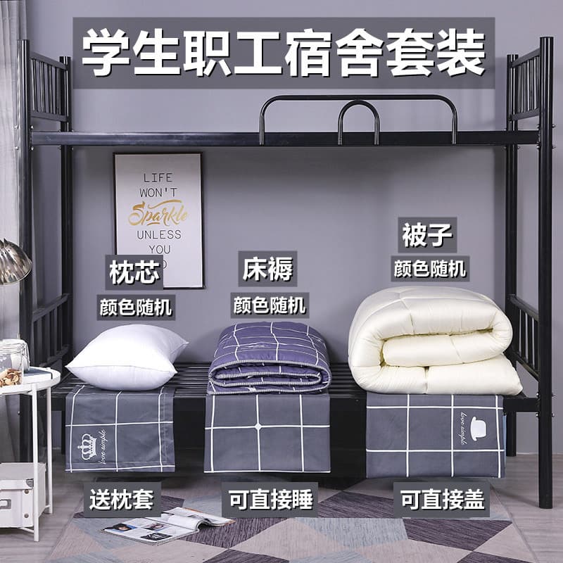 [Exclusive] Single three-piece set: comforter + mattress + pillow (pattern random)
