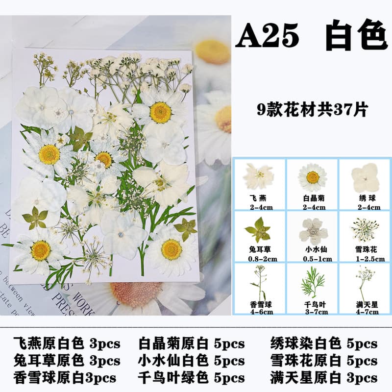 Dried Flower DIY Kit, Pressed Flower Bookmark, Epoxy Resin Craft, Plant Leaf Specimen, Dried Flower
