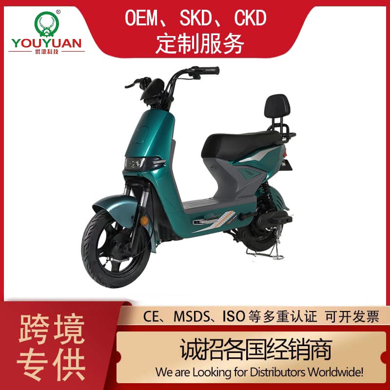 Cross-border hot selling export wholesale adult two-wheeled electric bicycle urban commuting transportation Casio electric bicycle