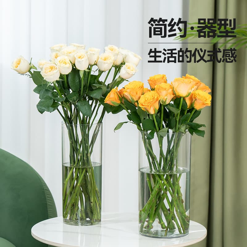 ✅High borosilicate straight glass vase, green dill, small fish tank, flower arrangement, hydroponic landscape flower pot, vase glass ornaments