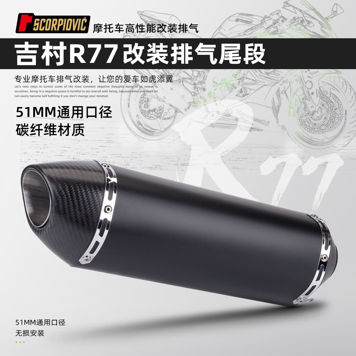 Motorcycle Modified Exhaust Full Carbon Fiber GSX250R 250SR Z900 MT09 Modified R77 Unbranded Tail Section