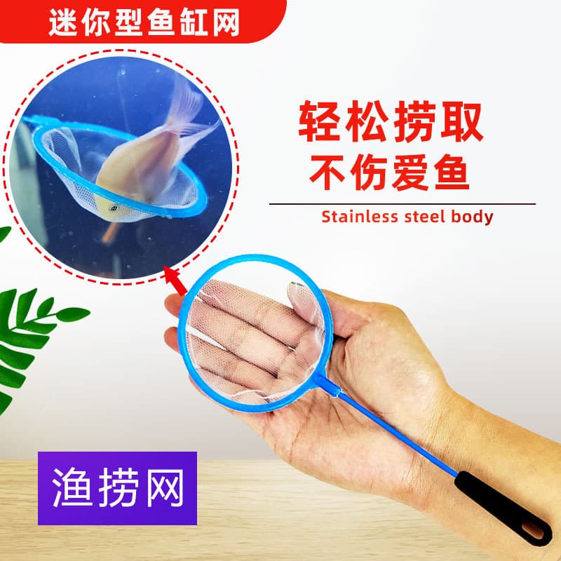 Small Fish Net, Fine Mesh Fishing Net, Kids Fishing Net, Hand Net for Fish Tank, Aquarium, Short Handle Fish Net