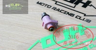 Compatible with EVO2 ZR50CC JOG Motorcycle Fuel Injector Nozzle, Injector, Electronic Fuel Injection Head, Low-Pressure Fuel Pump, and Others