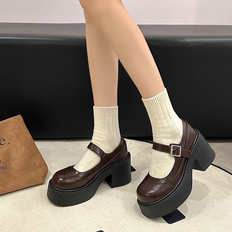 Retro Round Toe Platform Mary Jane Shoes Women 2024 New Spring French Block Heel Low-Cut Single Shoes