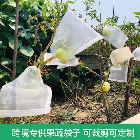 Twist-tie Fruit Anti-Bird and Anti-Insect Net Bag, Melon and Fruit Protection Bag for Figs, Loquats, Peaches, Strawberries