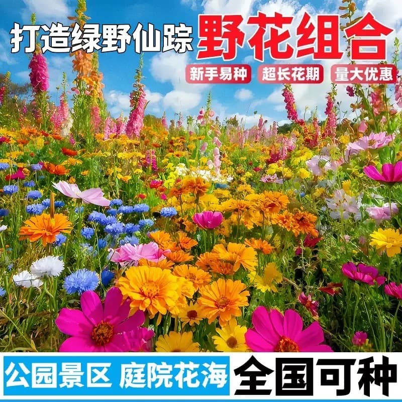 Wildflower Mix Seeds, Cosmos, Marigold, Zinnia, Four Seasons, Galsang Flower, Sunflower Seeds